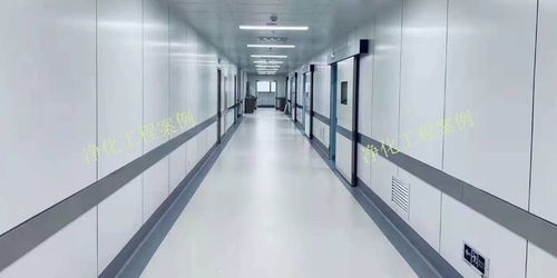 西北食品廠無塵室裝飾設(shè)計的核心要點(diǎn)與實(shí)踐